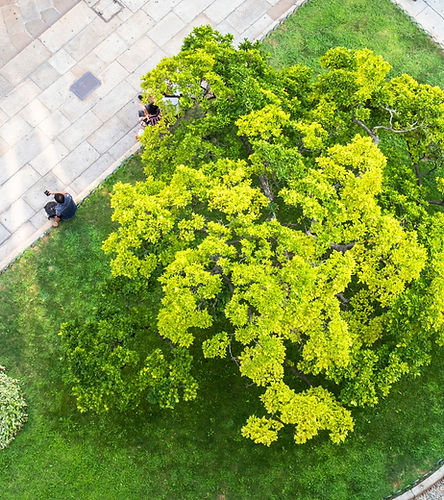City Garden